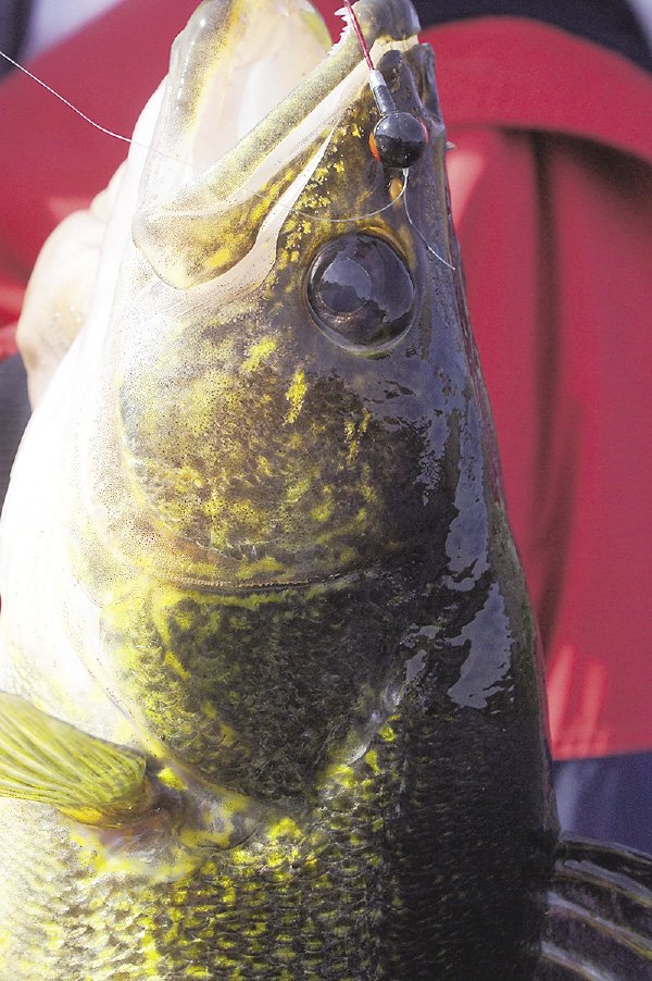 3 Ice Fishing Jig-lets Jig a Bit Glow in The Dark Lure Northland Walleye  Perch