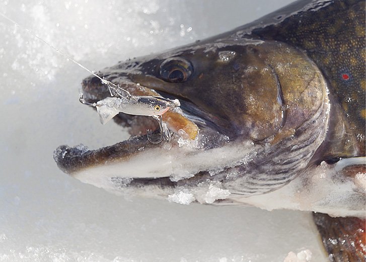 Late Ice Options - Northern Wilds Magazine