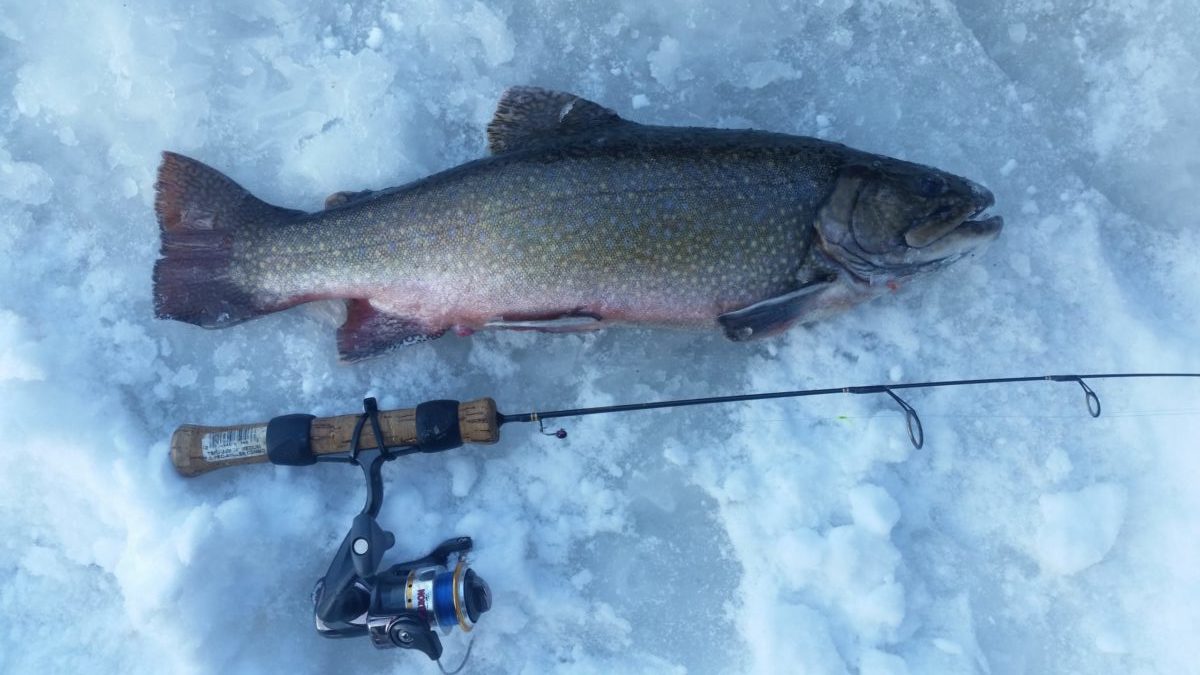 Winter trout opener remains a big deal Northern Wilds Magazine