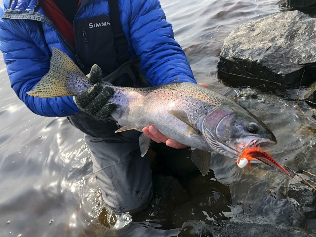The Joys of Ice-Out Trout Fishing - Northern Wilds Magazine