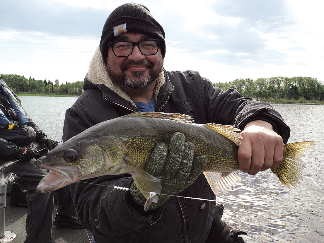 Walleye & Spinners: A Perfect Match - Northern Wilds Magazine