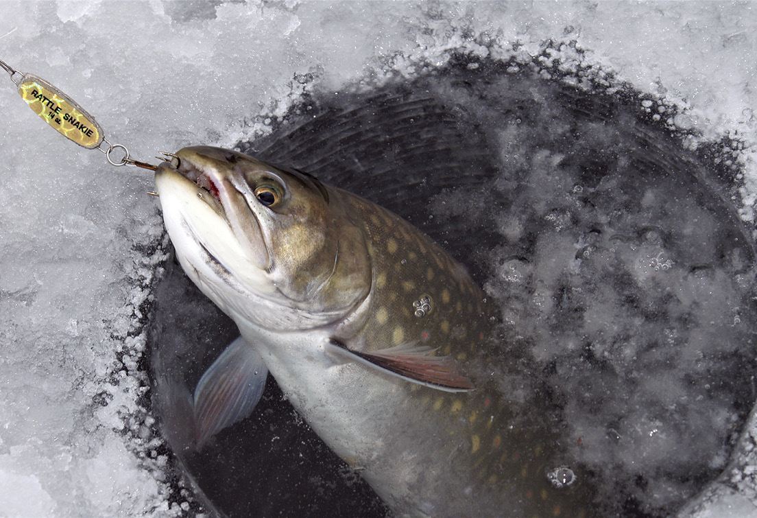 Ice Fishing is BACK!  Rattle-bait Lake Trout!! 