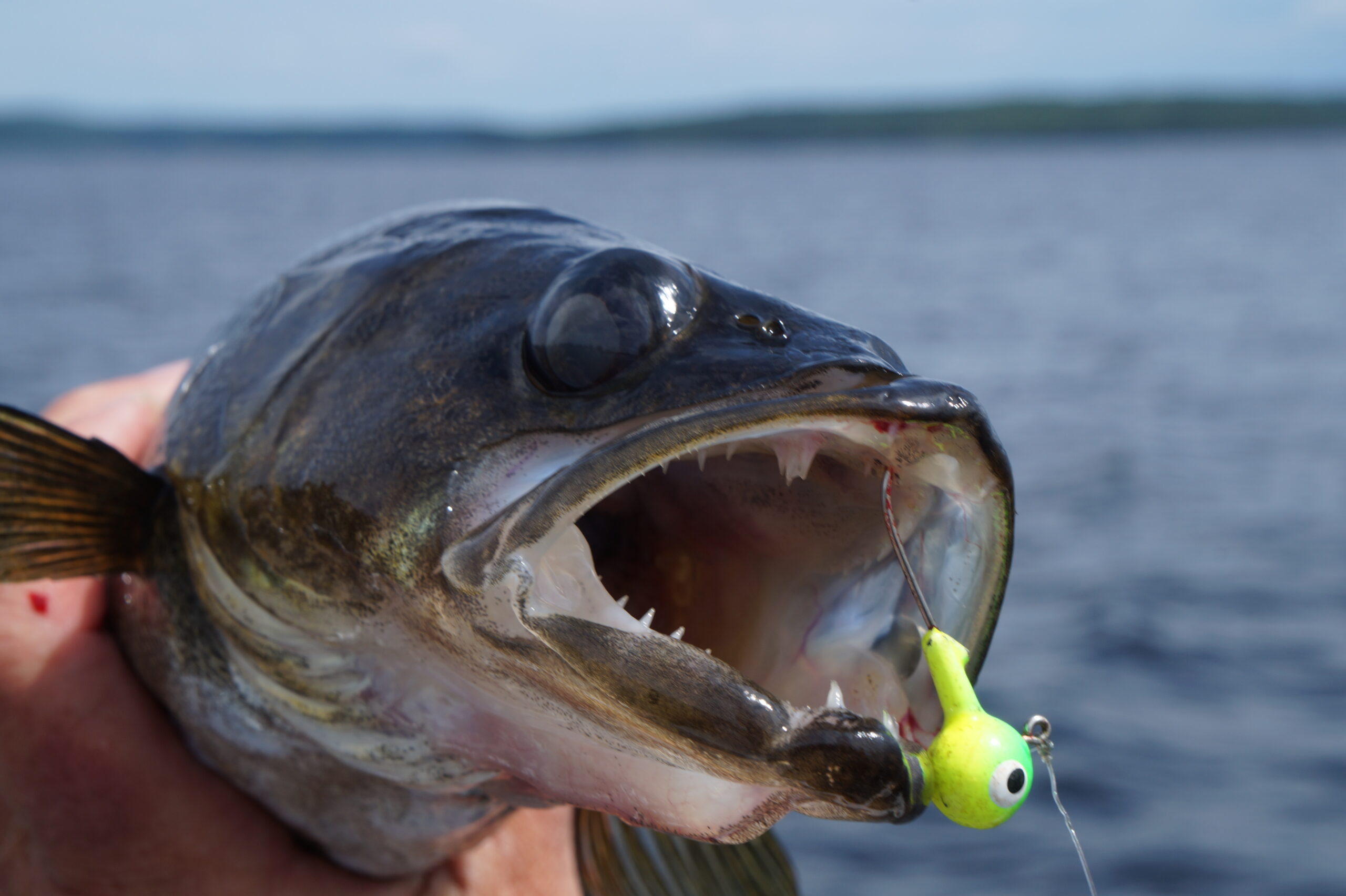 replacement shimano reel handle Jigging World